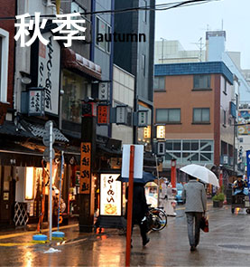 秋季